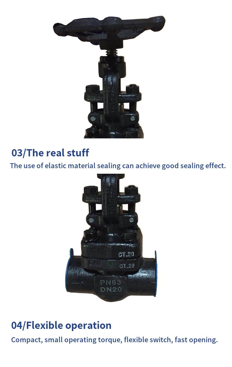 BZ41H insulated jacket gate valve