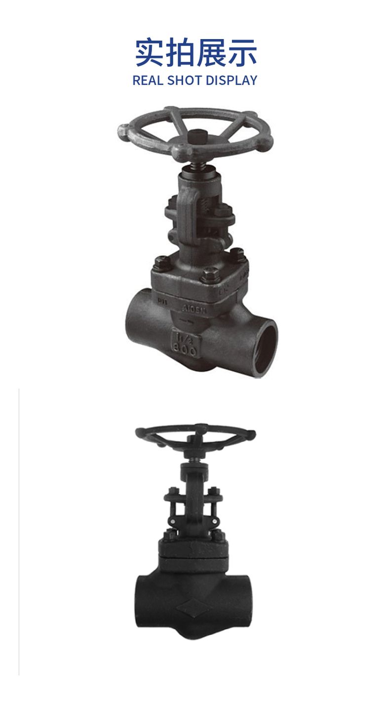 BZ41H insulated jacket gate valve