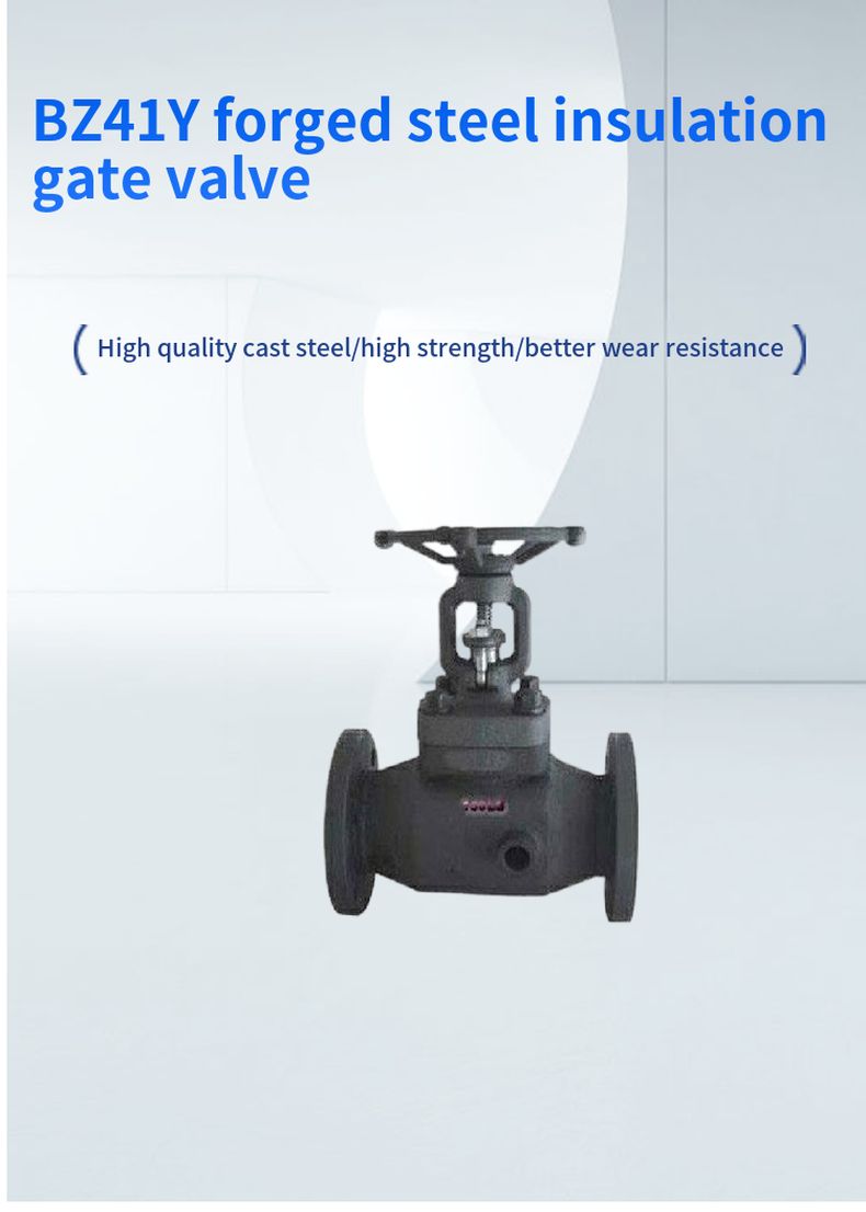 BZ41Y forged steel insulation gate valve