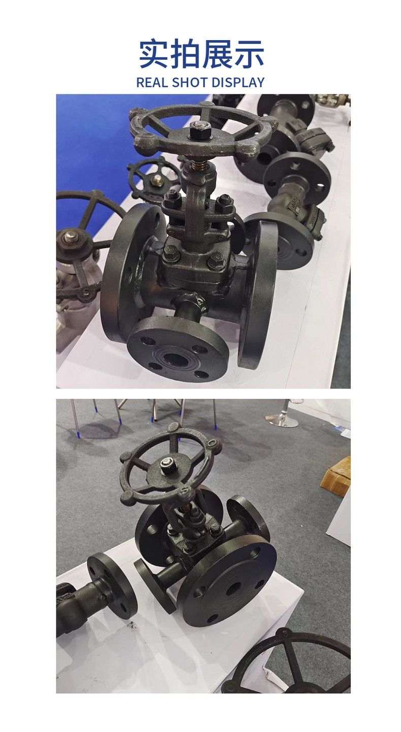 CYZ41H differential pressure oil seal gate valve