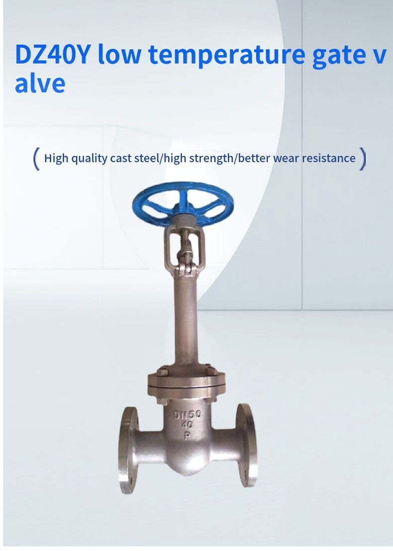 DZ40Y low temperature gate valve