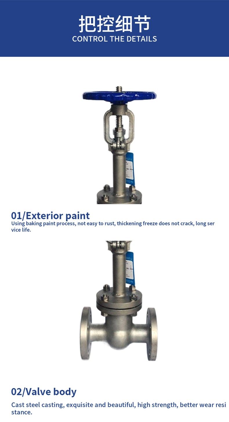 DZ40Y low temperature gate valve