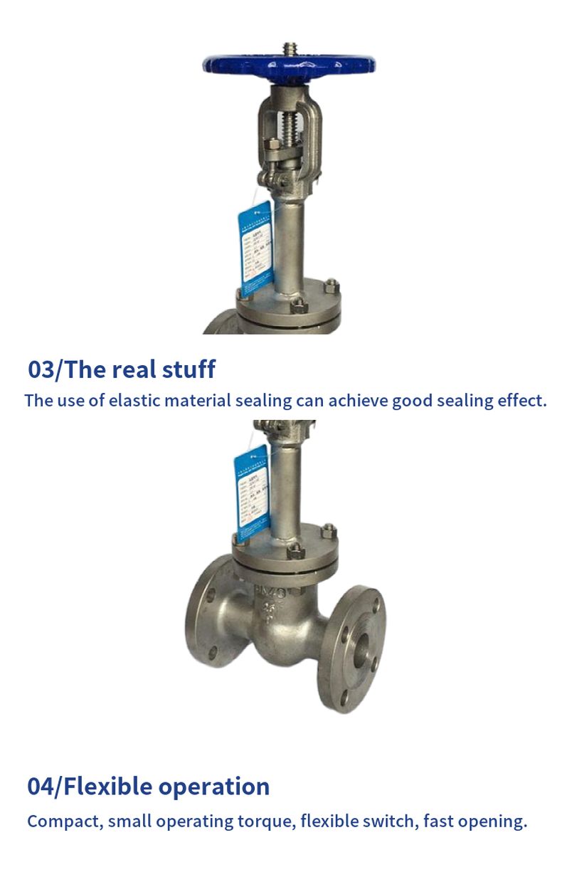 DZ40Y low temperature gate valve