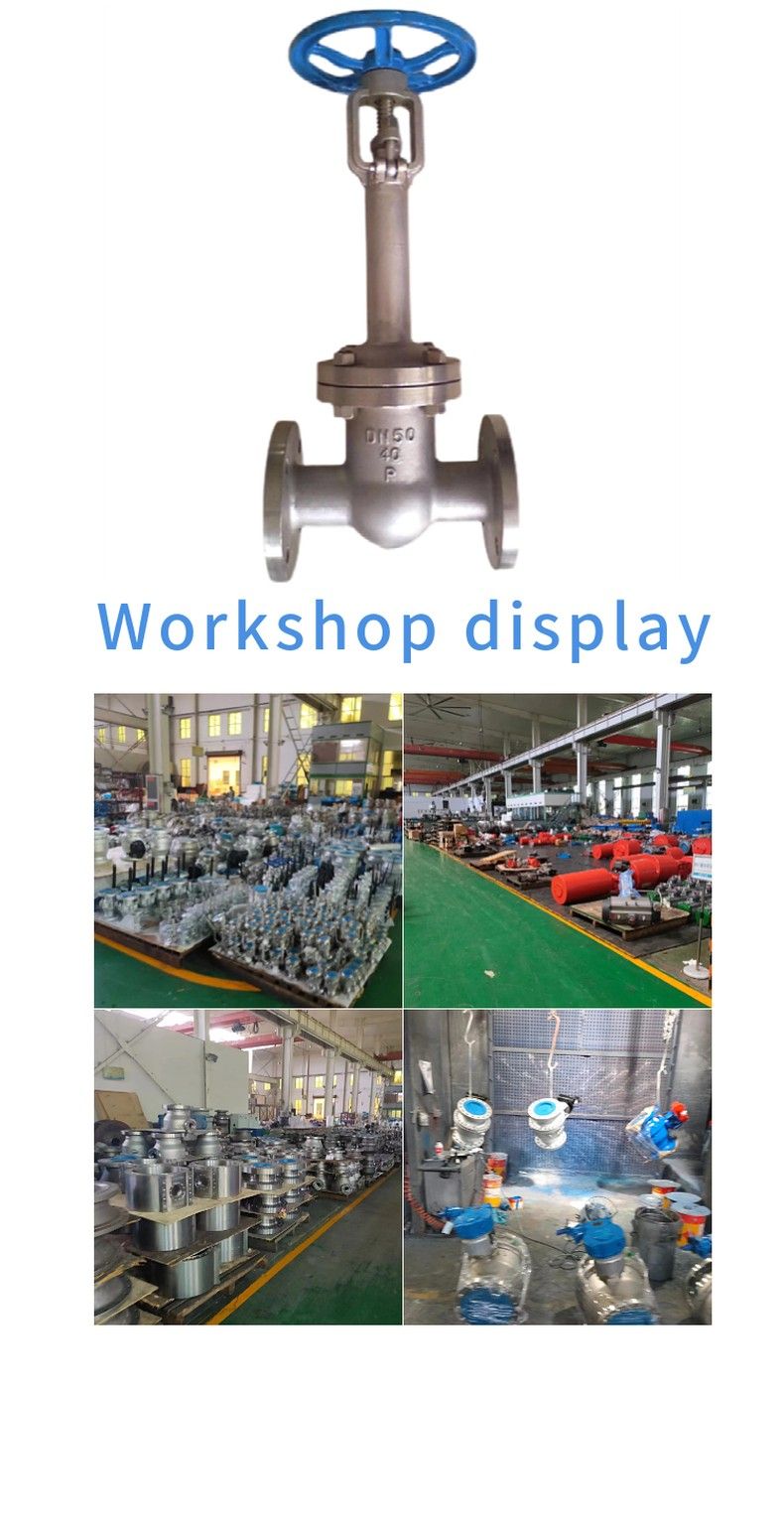 DZ40Y low temperature gate valve