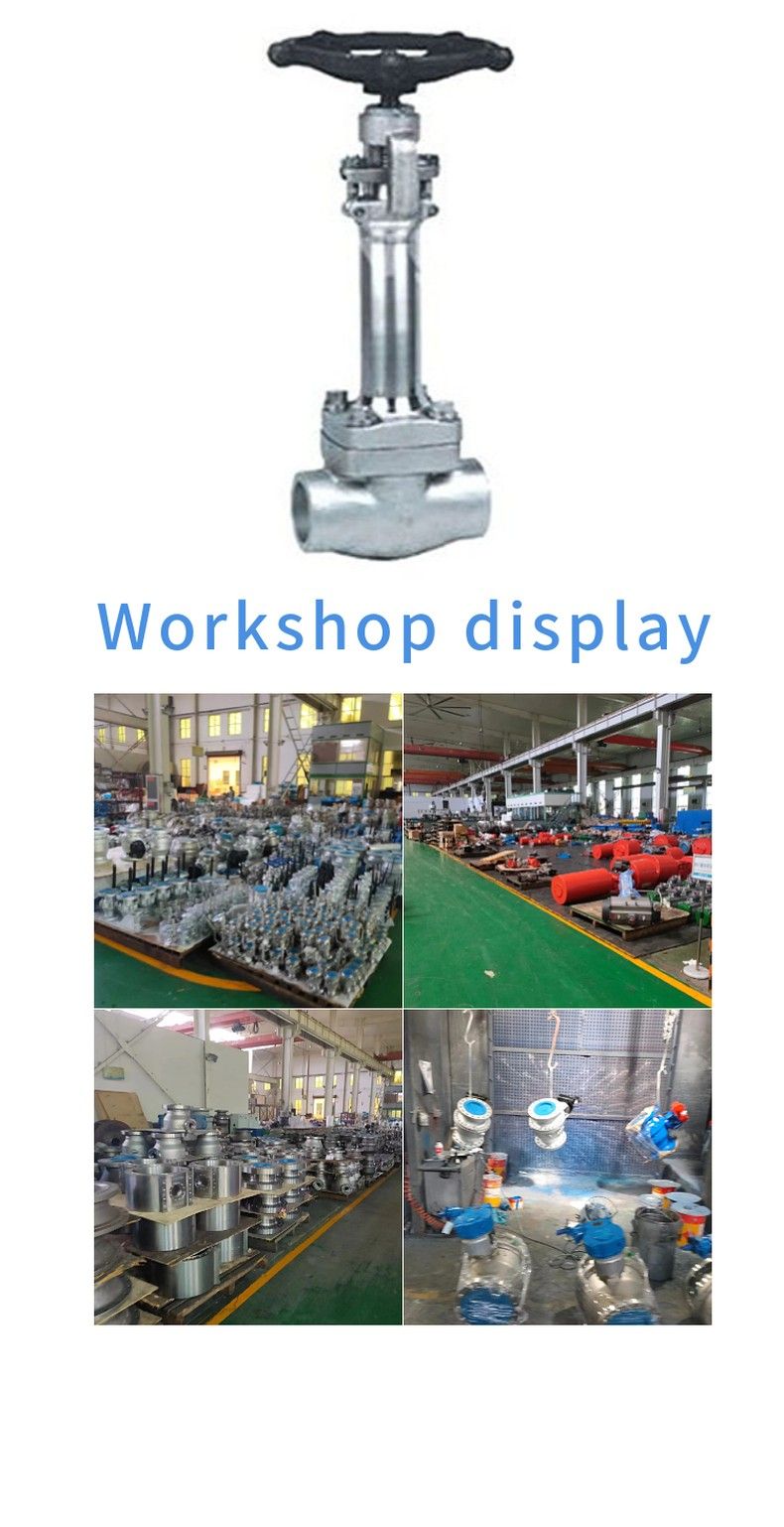 DZ61Y low temperature gate valve