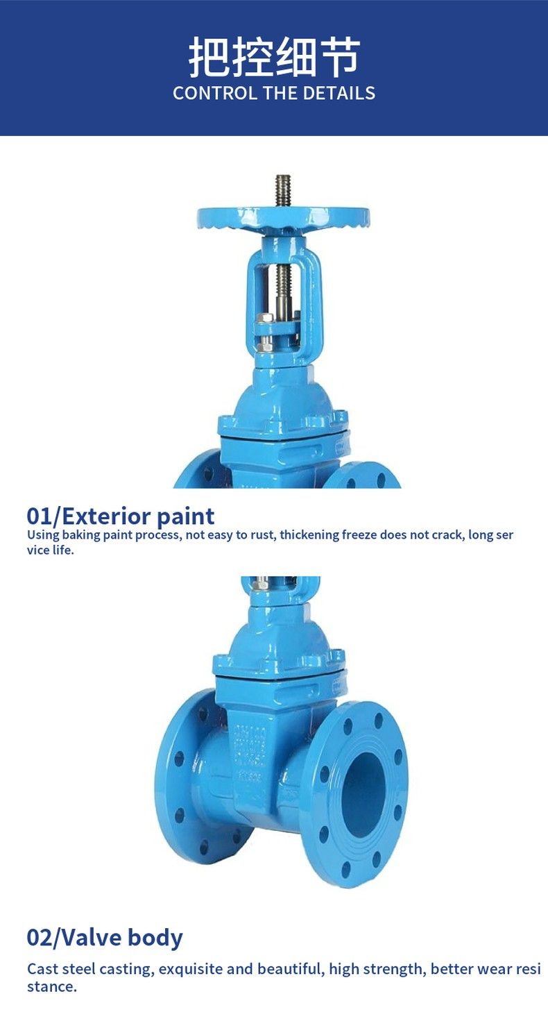 RRHX open stem elastic seat seal gate valve