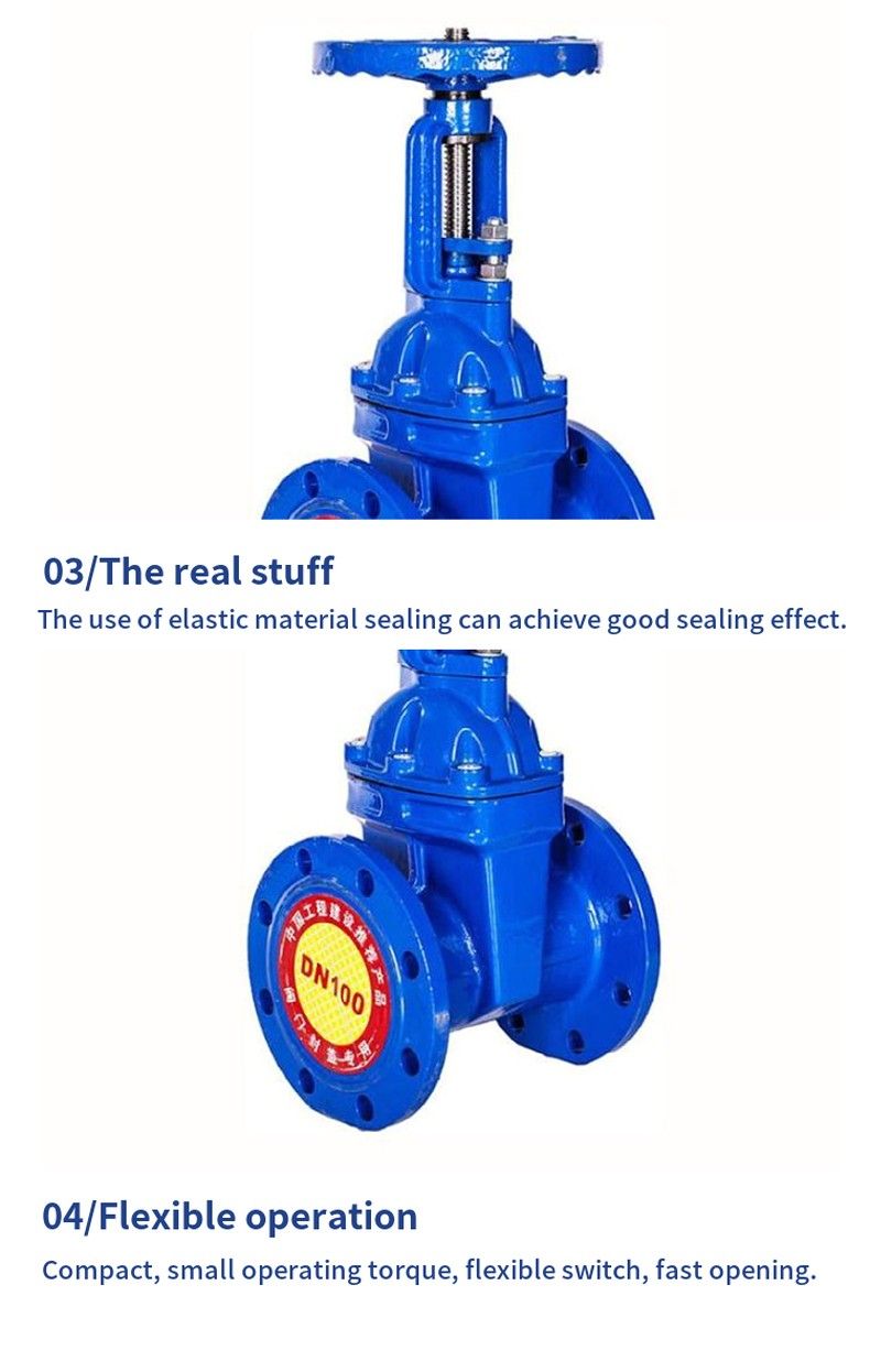 RRHX open stem elastic seat seal gate valve