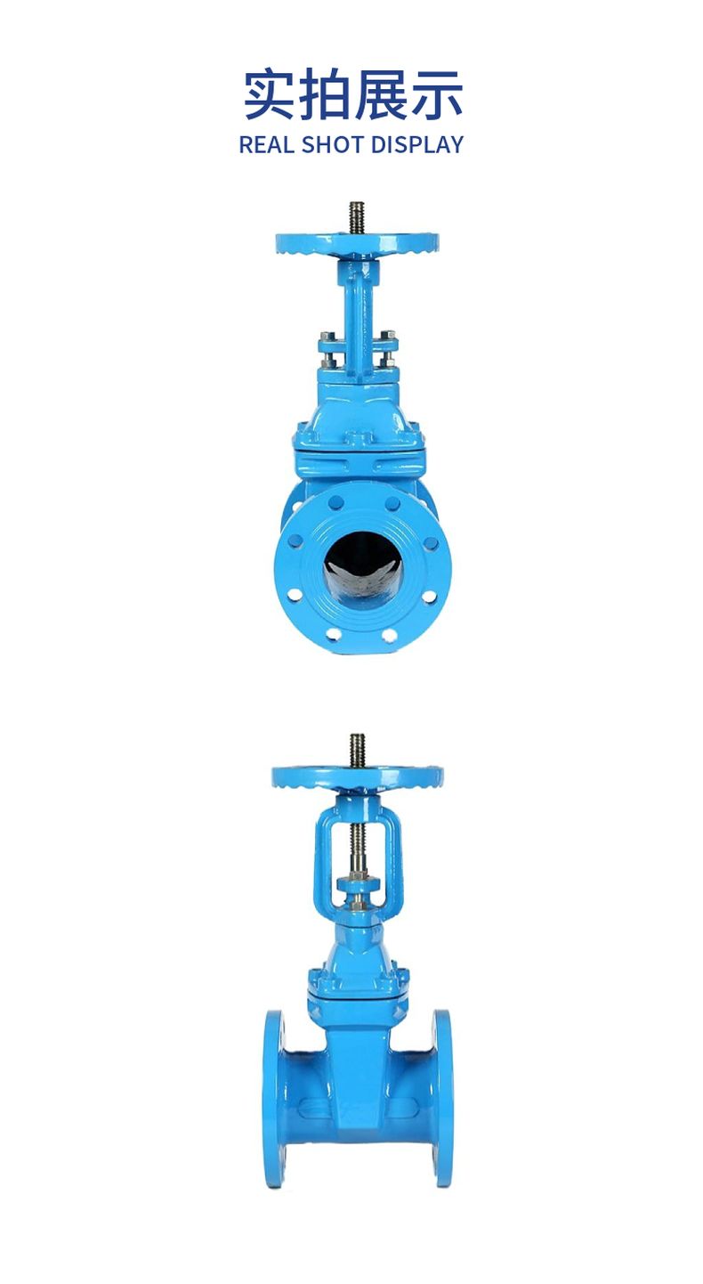 RRHX open stem elastic seat seal gate valve