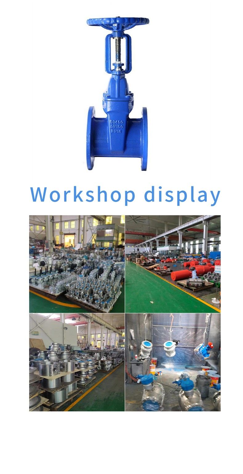 RRHX open stem elastic seat seal gate valve