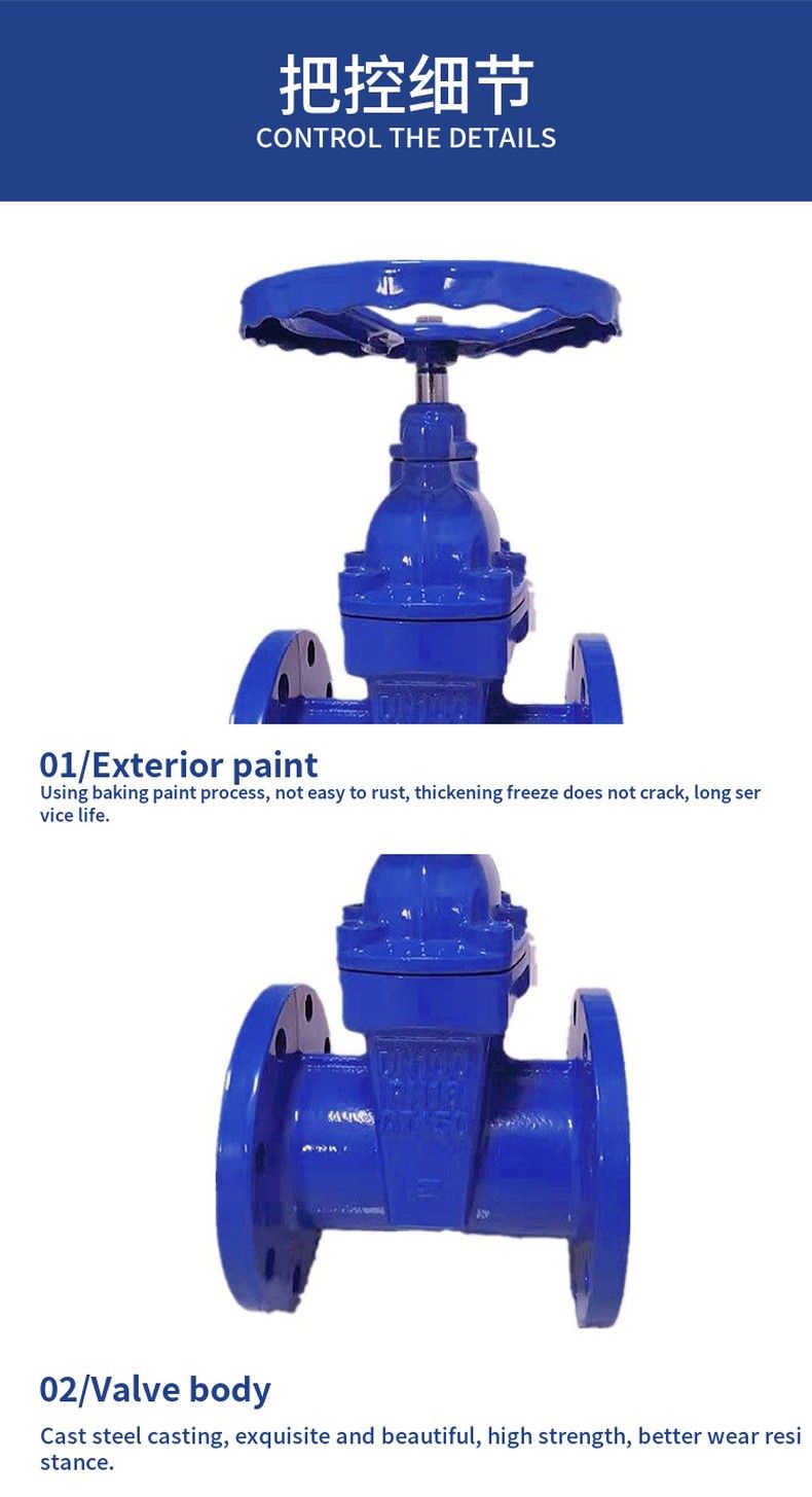 RVCX blind stem elastic seat seal gate valve