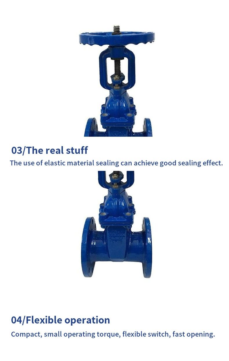 RVCX blind stem elastic seat seal gate valve