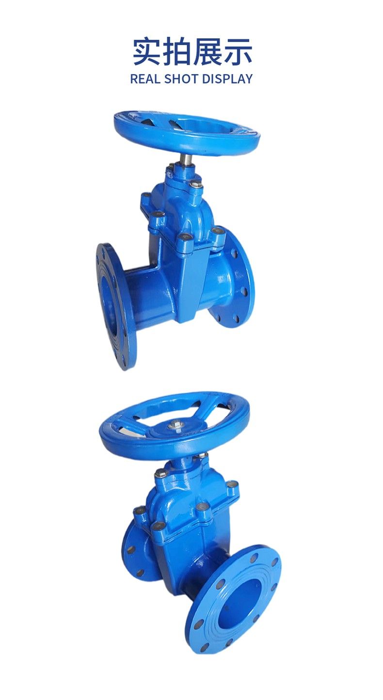 RVCX blind stem elastic seat seal gate valve