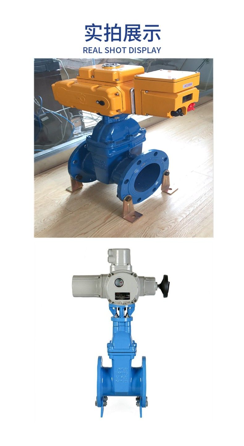 RVEX electric elastic seat seal gate valve