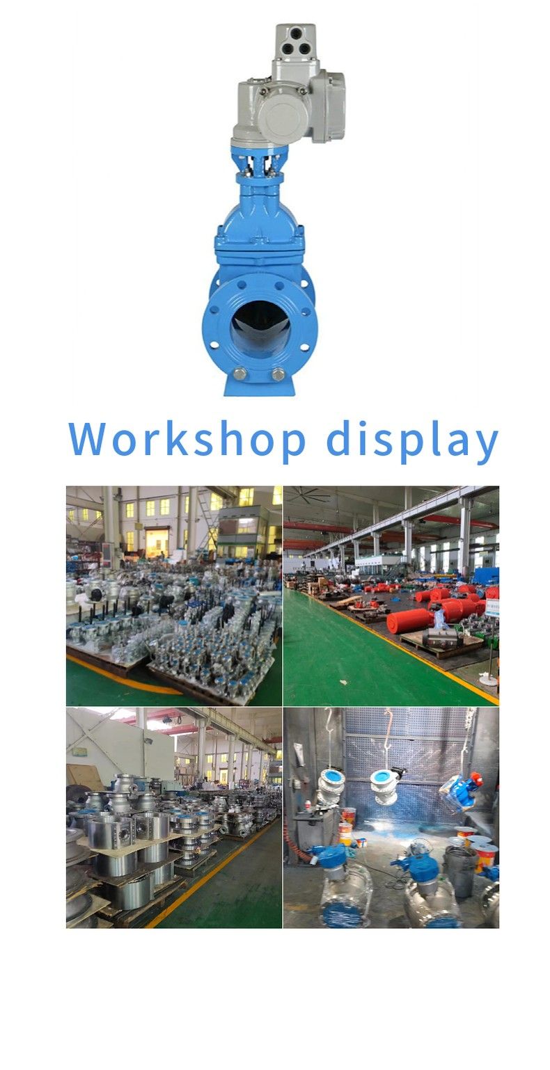 RVEX electric elastic seat seal gate valve