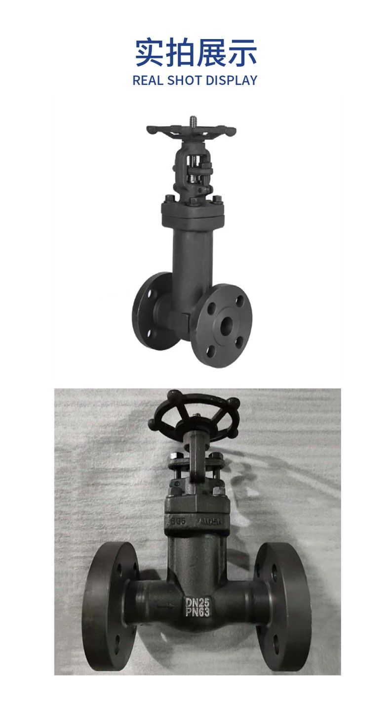 WZ41H forged steel bellows gate valve