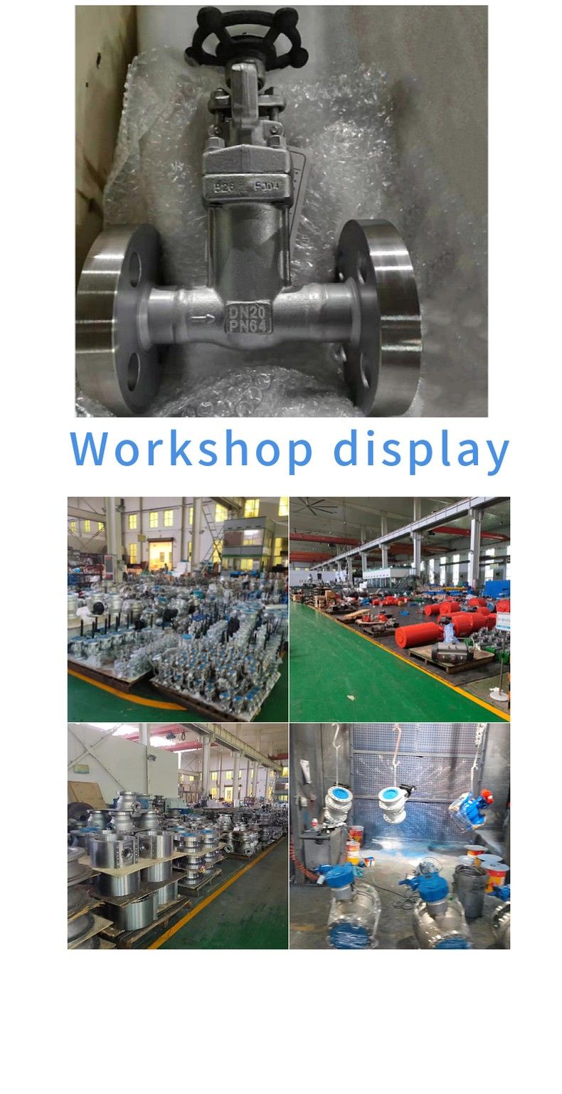 WZ41H forged steel bellows gate valve