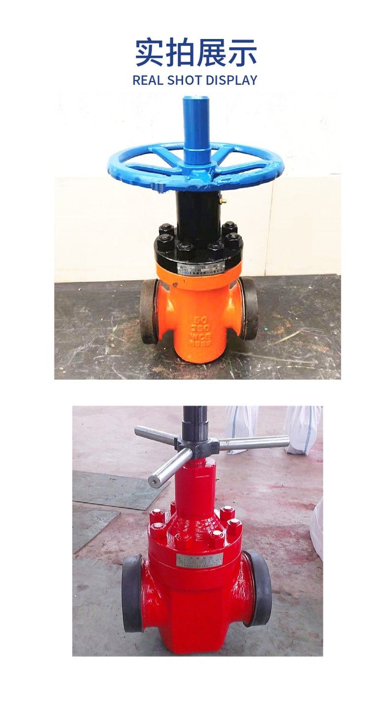 Z23X mud gate valve