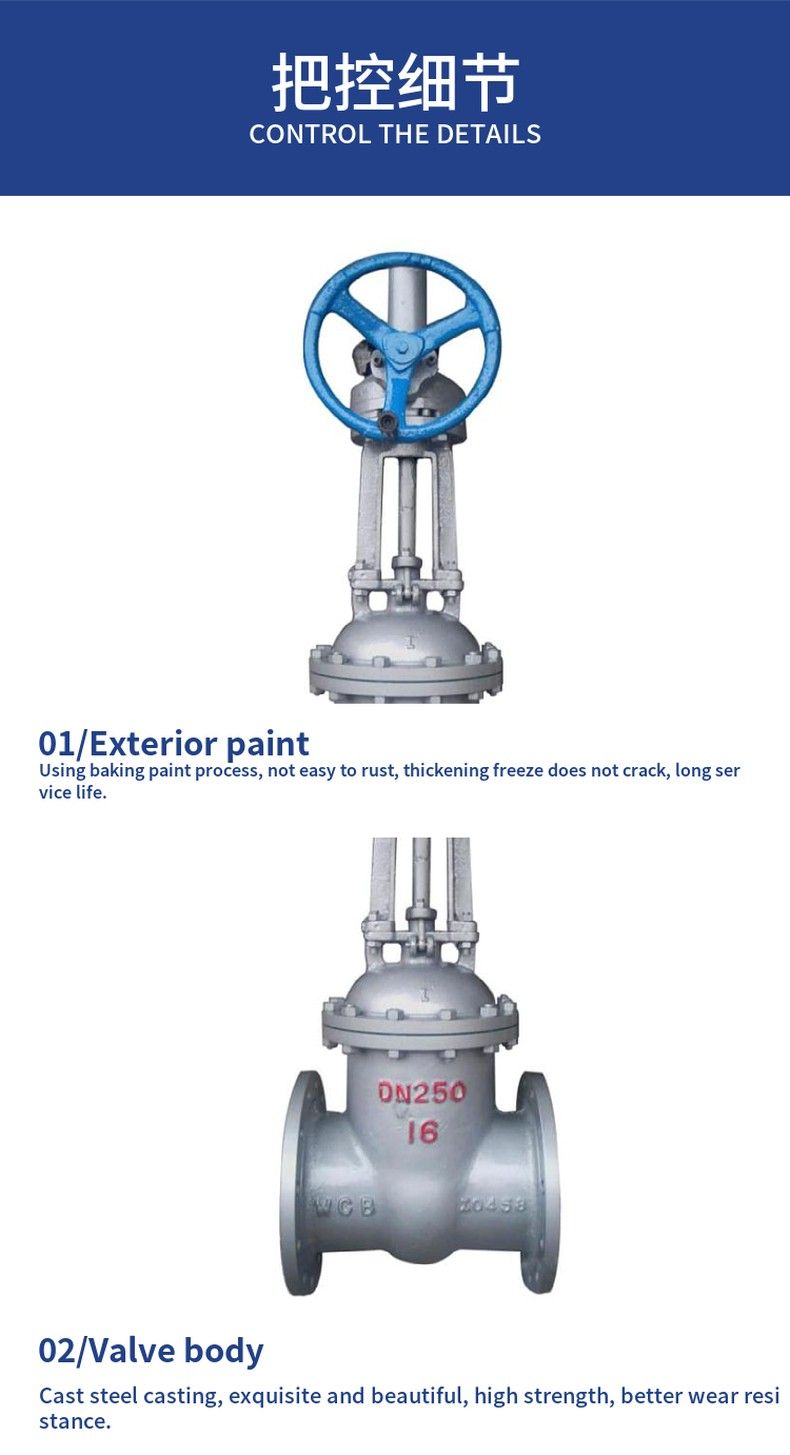 Z541H with bypass gate valve