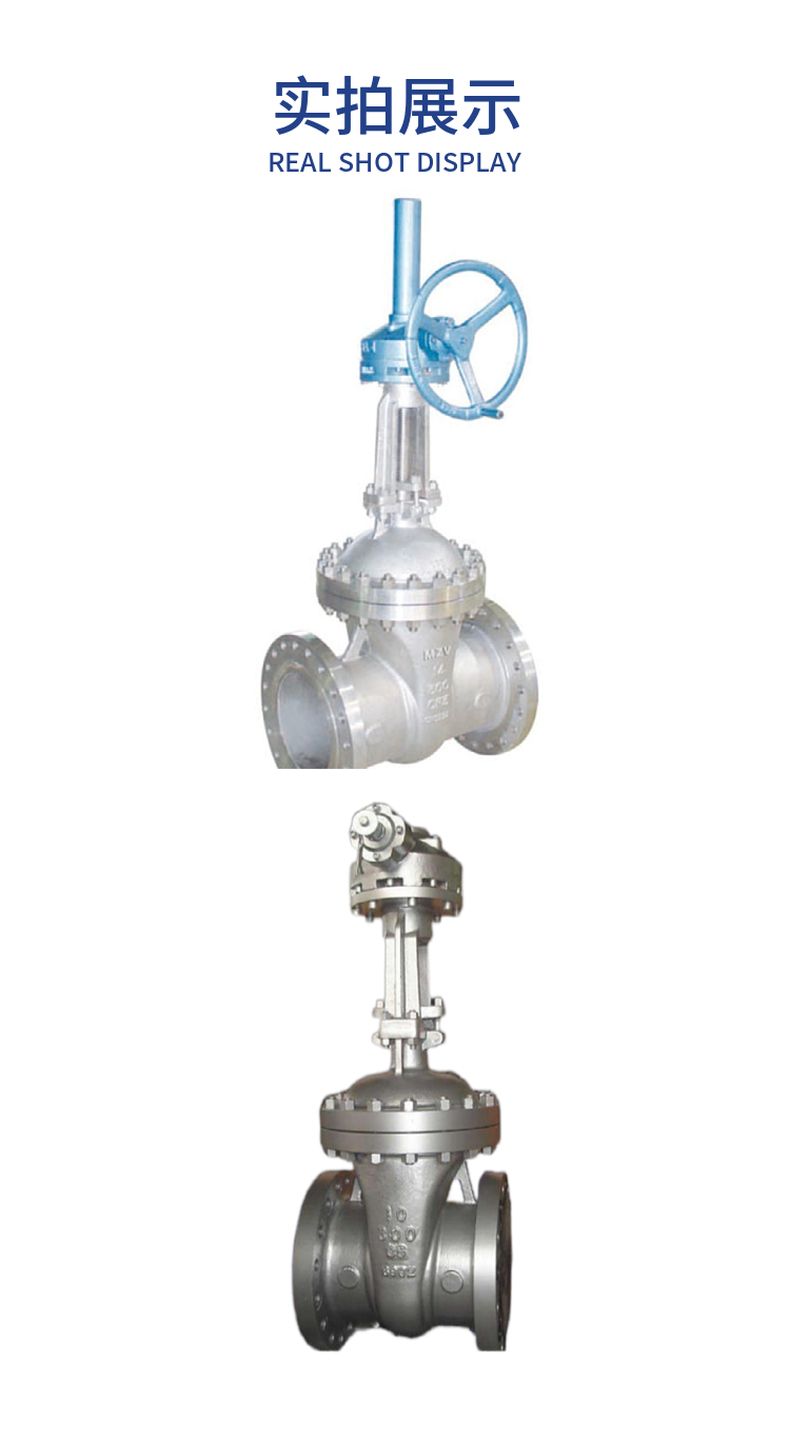 Z541H with bypass gate valve