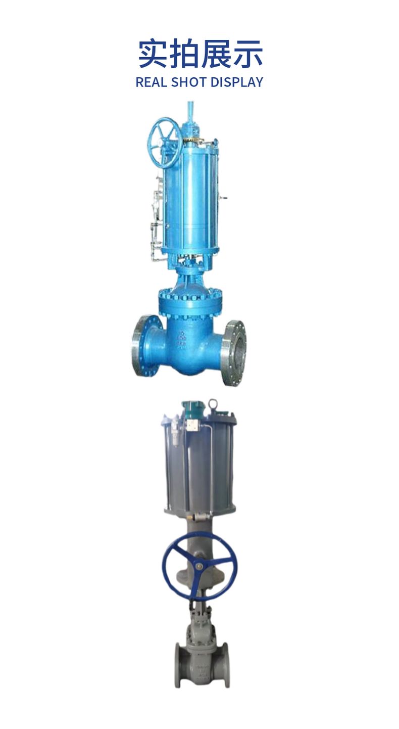 Z644H pneumatic parallel double gate valve