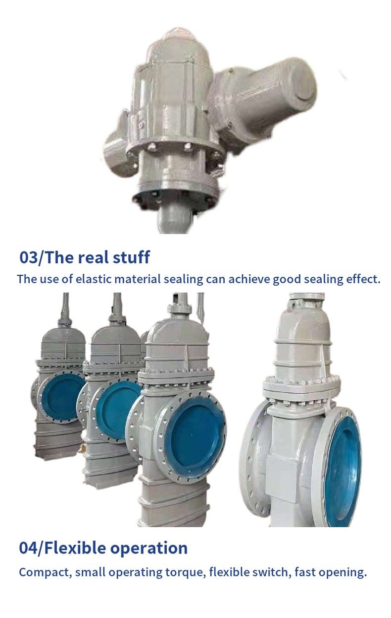 Z943WF flat gate valve without diversion