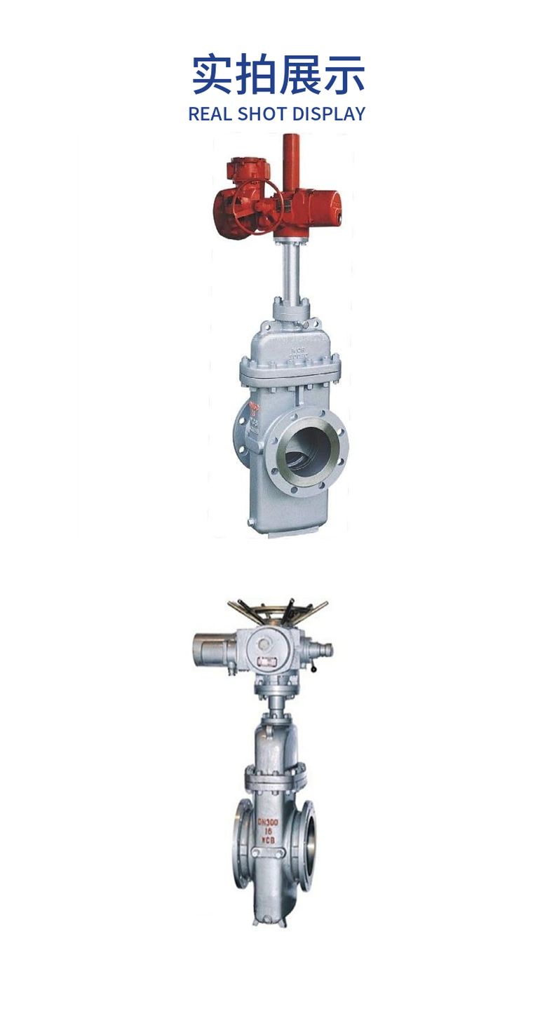 Z943WF flat gate valve without diversion